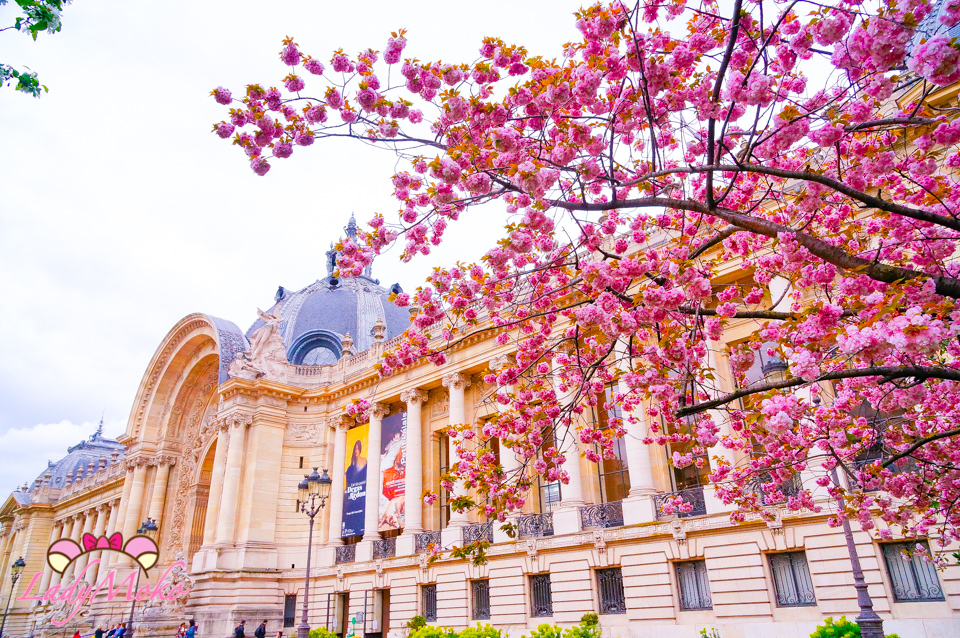 巴黎賞櫻》小皇宮Petit Palais,滿開粉嫩櫻花,空無一人的巴黎櫻花勝地