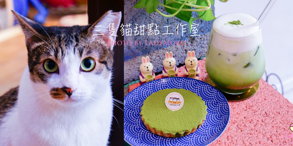 新竹美食》三隻貓甜點工作室,超濃郁小山園抹茶塔&抹茶牛奶,4隻貓店長