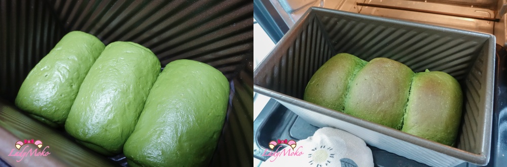 抹茶日本711金吐司食譜 matcha japanese shokupan milk bread recipe 