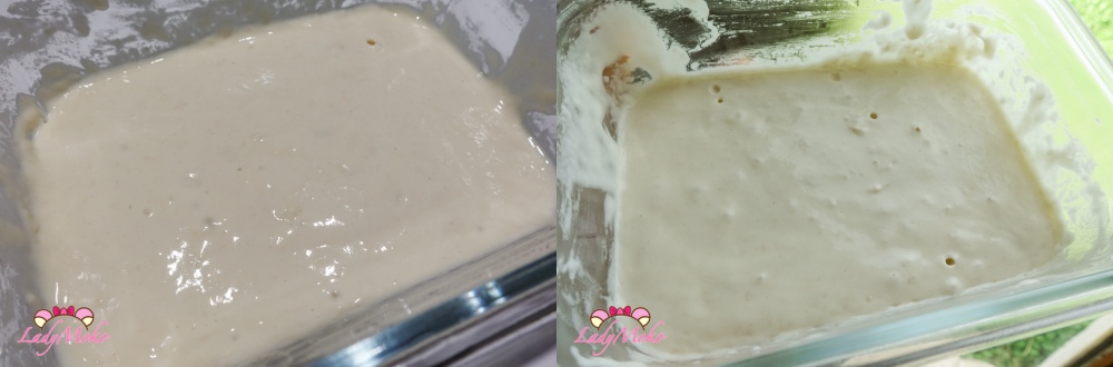 波蘭種麵團發酵 