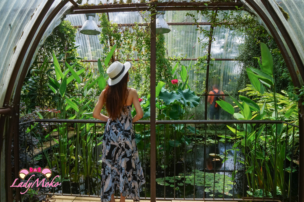 Château de Chaumont肖蒙城堡 : 國際花園節 溫室植物