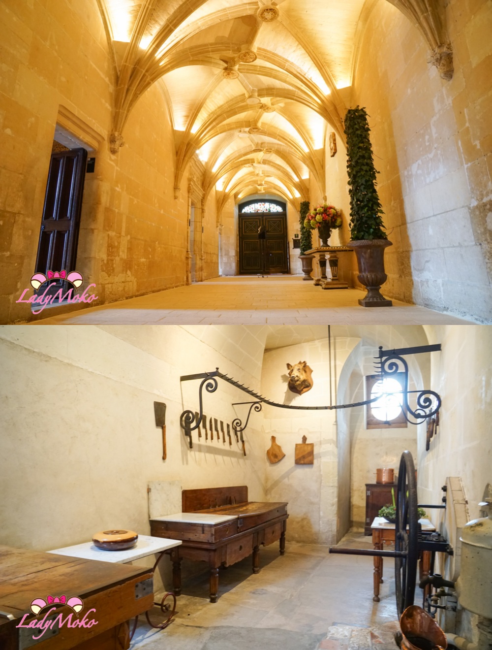 法國羅亞爾河城堡景點 雪儂梭城堡 Château de Chenonceau 內部參觀重點
