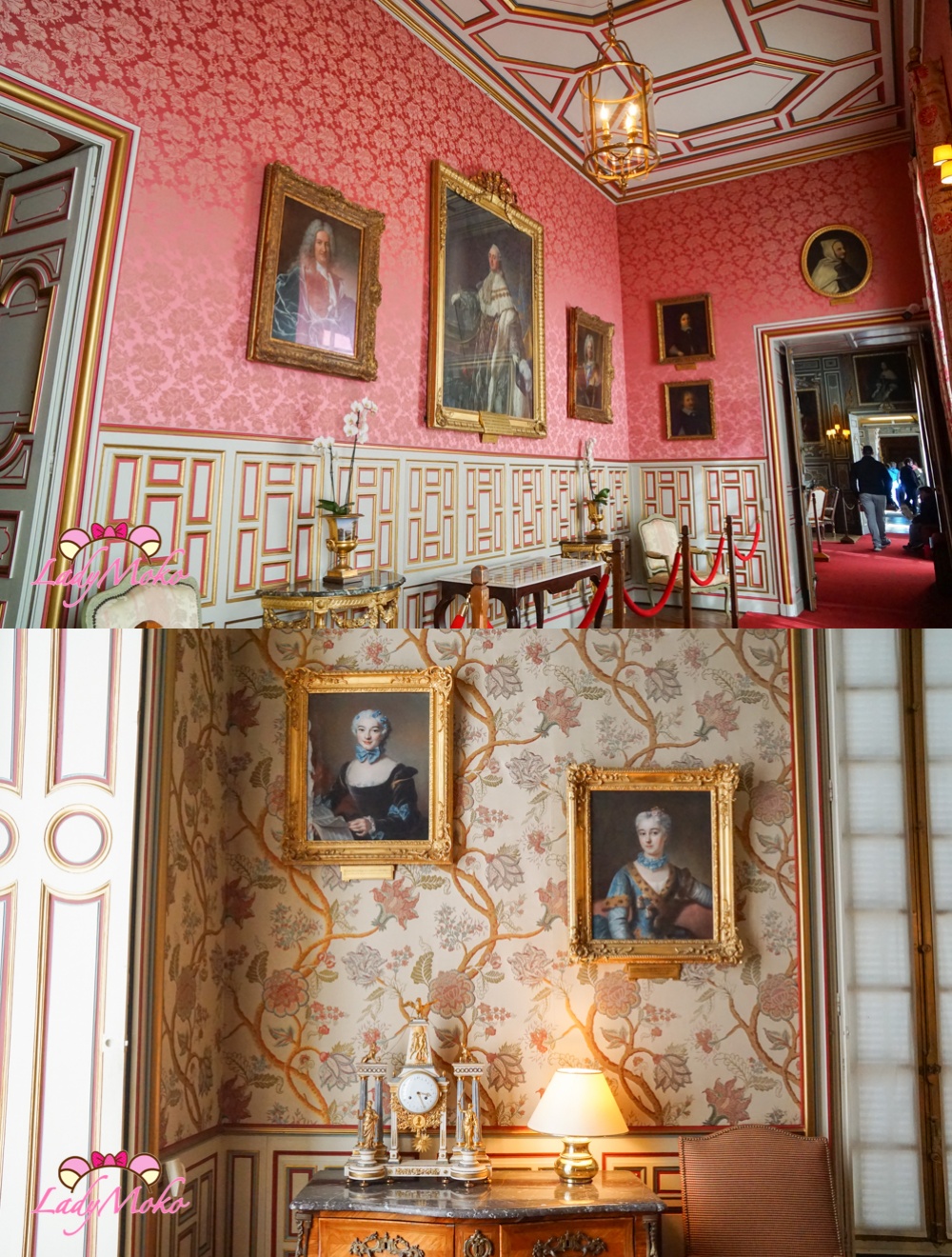 法國羅亞爾河城堡景點 Château de Cheverny 雪維尼城堡 人像壁畫