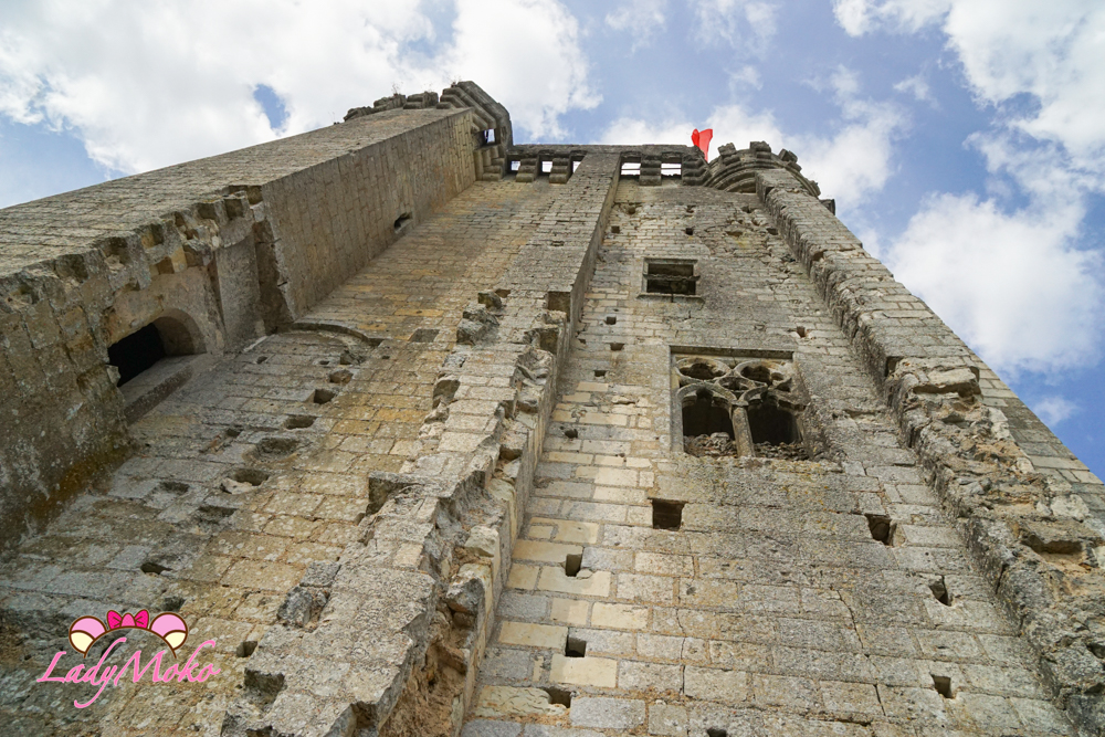 法國羅亞爾河城堡景點 Château de Lavardin 拉瓦爾丹城堡 主塔(Donjon)