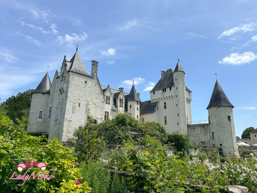 法國羅亞爾河城堡景點 Château du Rivau 麗芙城堡 遠觀城堡