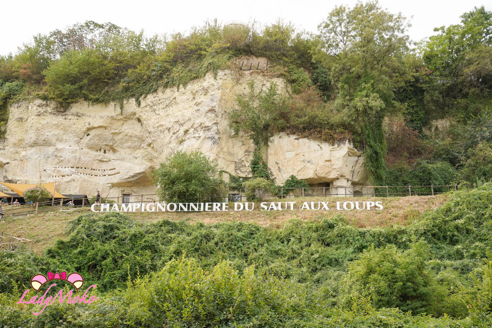 法國索米爾蘑菇洞穴 La Champignonnière du Saut aux Loups 遠看招牌