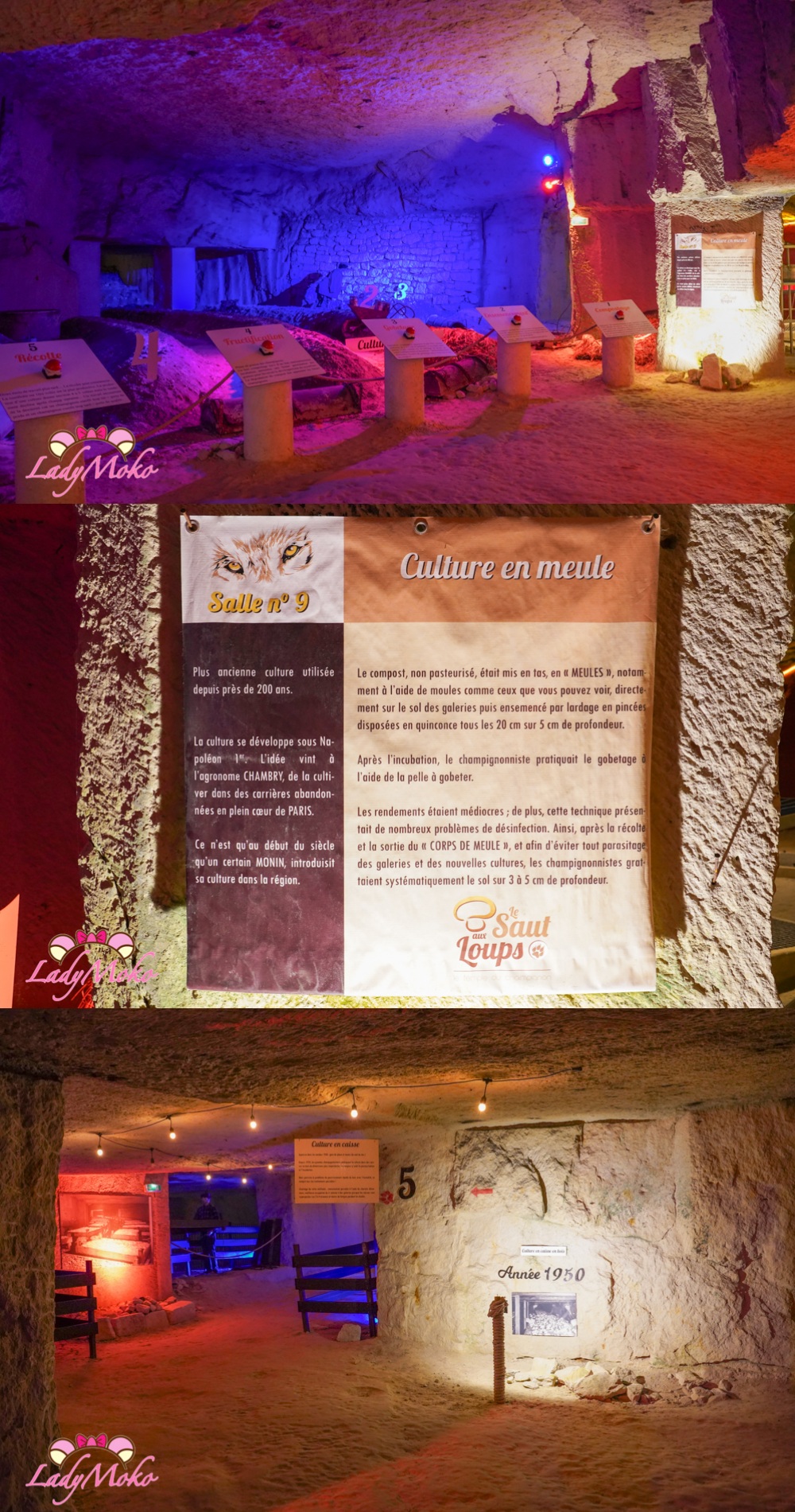 法國索米爾蘑菇洞穴 La Champignonnière du Saut aux Loups 以前種植香菇的方法