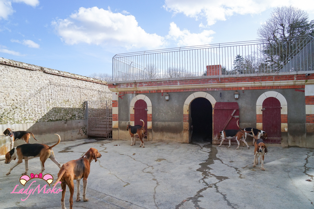 法國羅亞爾河城堡景點 Château de Cheverny 雪維尼城堡 獵犬住的地方