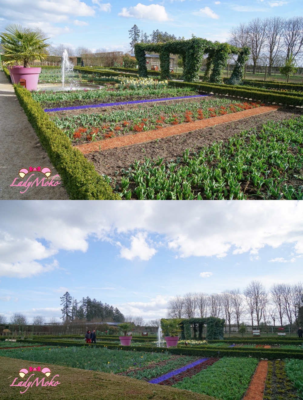 法國羅亞爾河城堡景點 Château de Cheverny 雪維尼城堡 冬天的花園