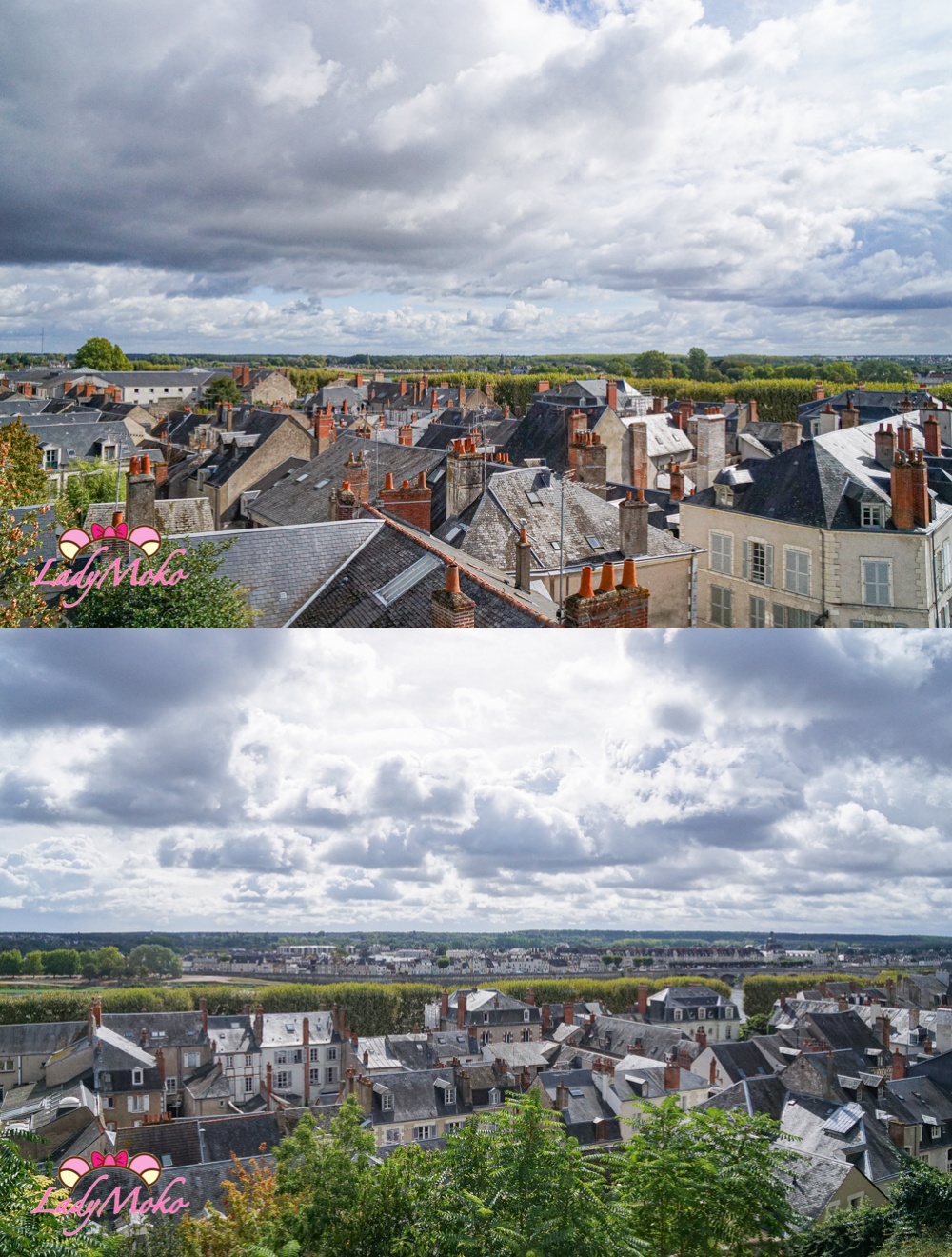 法國羅亞爾河城堡景點 布盧瓦城堡（Château de Blois）Roseraie des jardins de l’évêché：玫瑰植物園上的風景