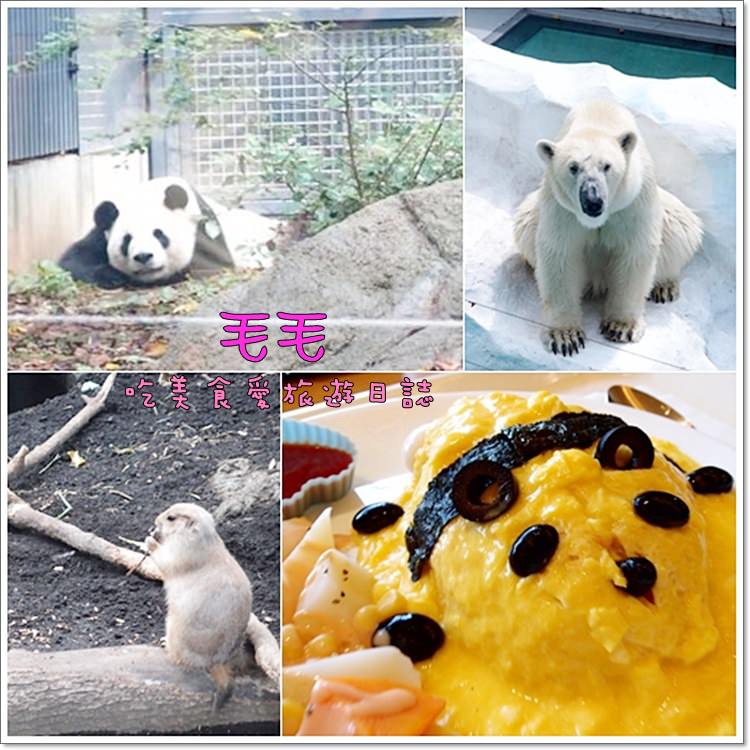 東京 》上野動物園+Green Salon熊貓餐廳。貓熊、土撥鼠、水豚萌度破表♥貓熊餐點好吃又好可愛♥(圖多)