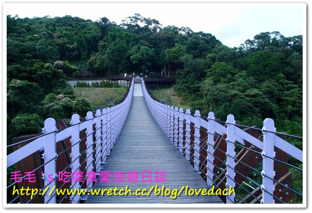 台北內湖 》遊記:內湖後濕地和夢幻的粉紫色白石湖吊橋，追花~百合(2013/5/28花況)