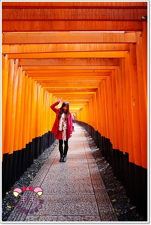 京都賞櫻 》伏見稻荷神社。值得一生至少來一次的千本鳥居，櫻花點綴的橘與狐狸，神聖又迷人♥