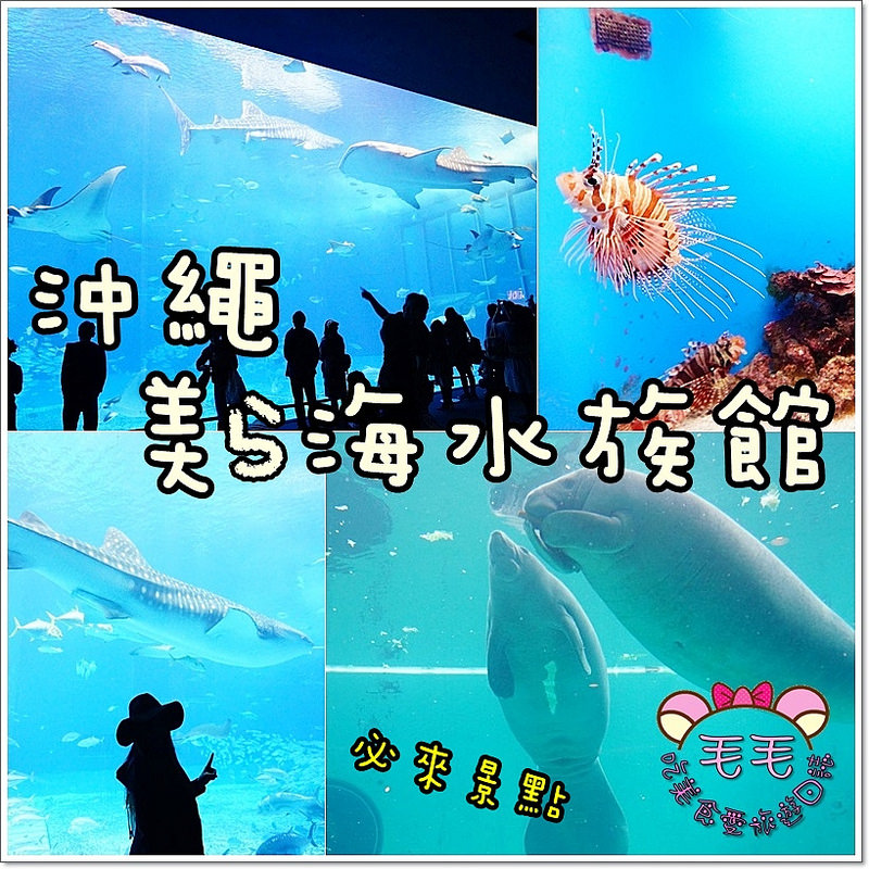 沖繩大推薦景點 》沖繩美ら海水族館。巨型鯨鯊好驚艷♥海牛無敵可愛♥(自駕|自由行|行程規劃|冬季)